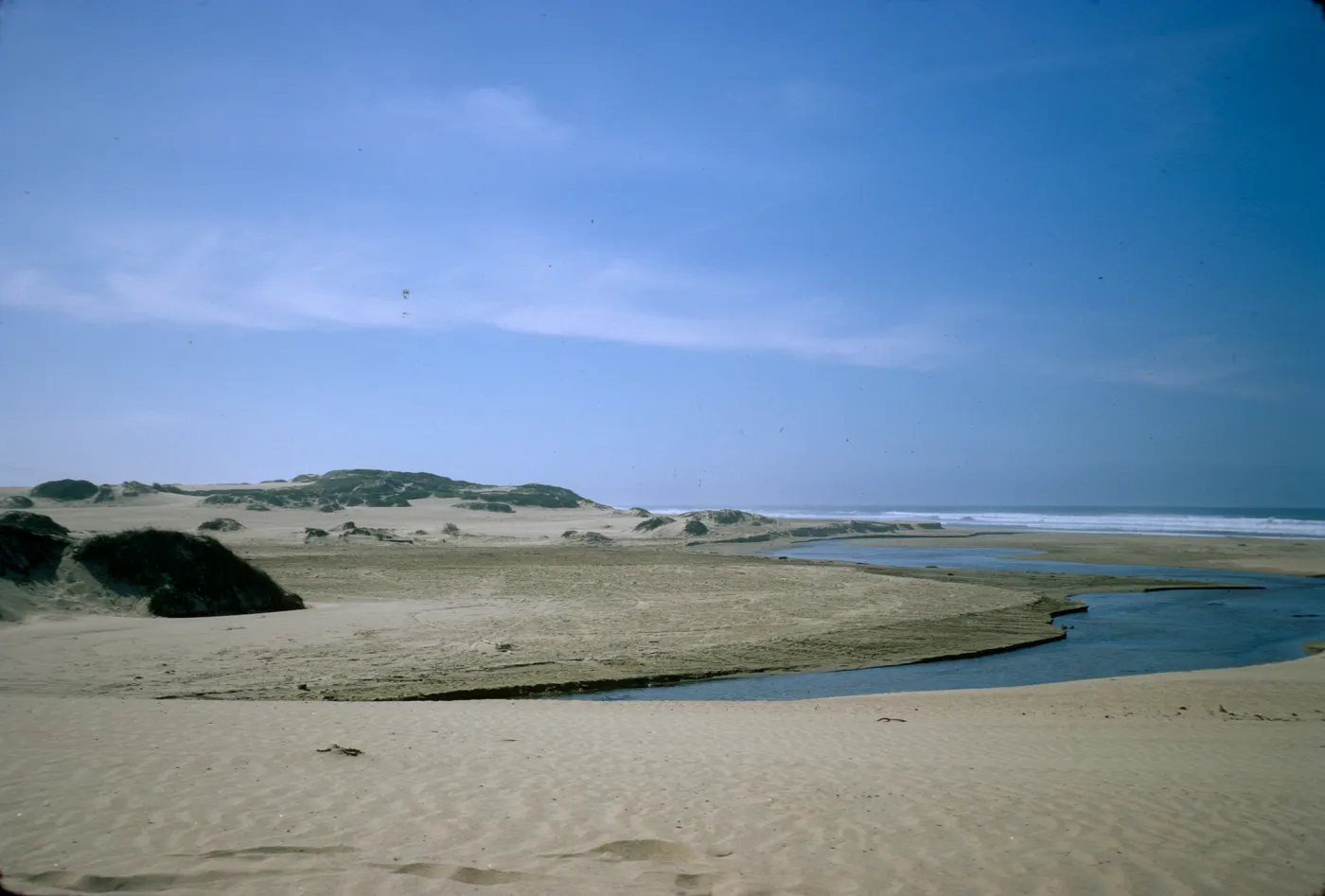 coastal dunes at ocean's edge, Oso Flaco