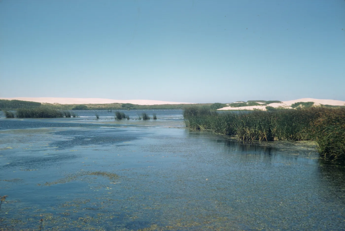 Oso Flaco Lake