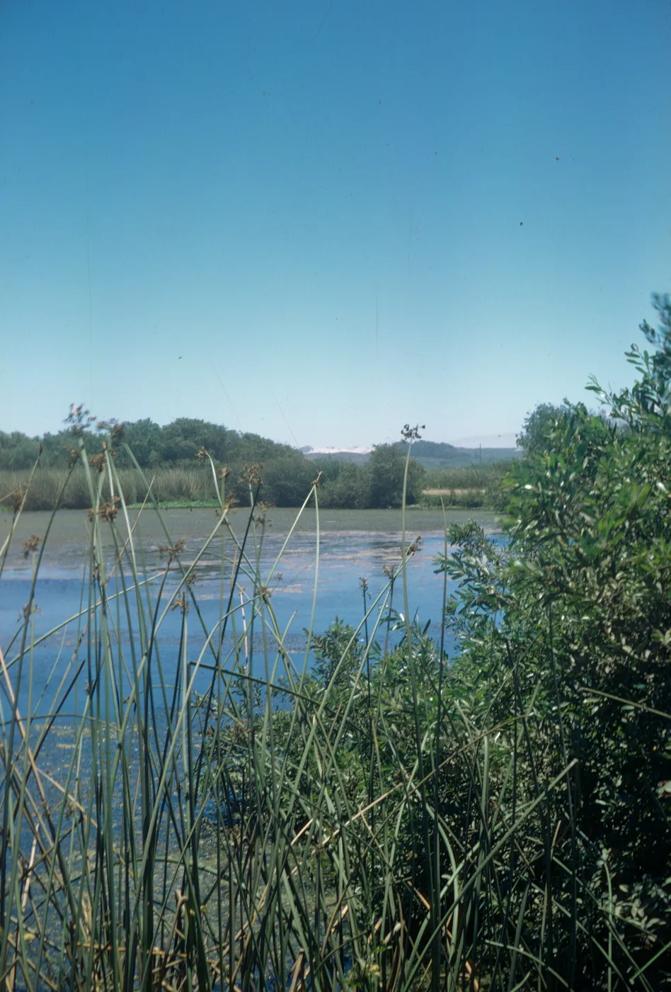 Oso Flaco Lake