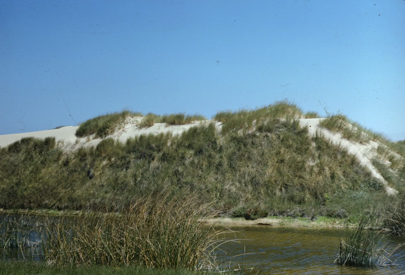 Oso Flaco Lake