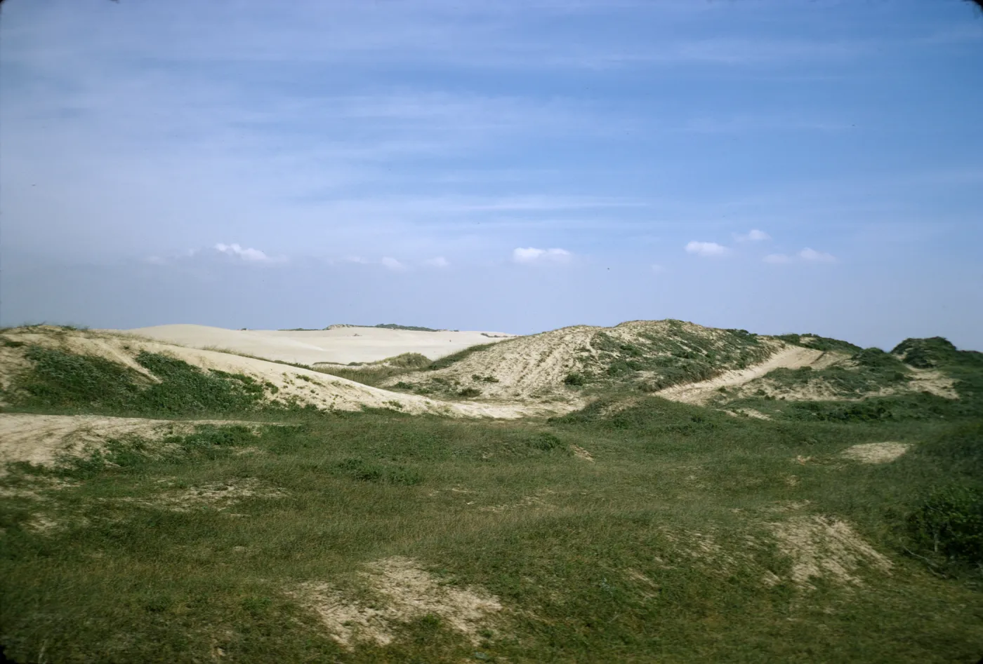 sand dunes at Oso Flaco