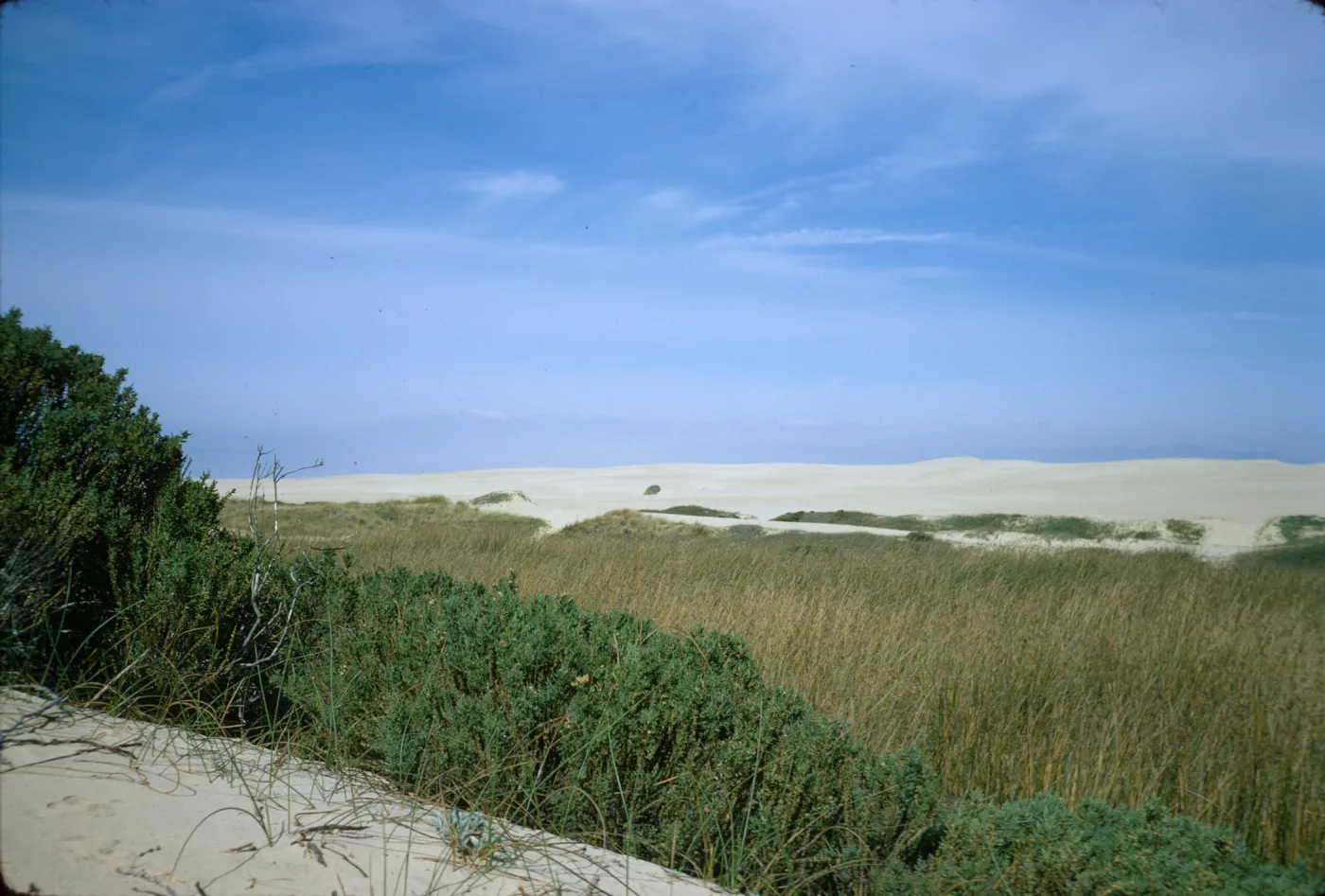 Oso Flaco dunes