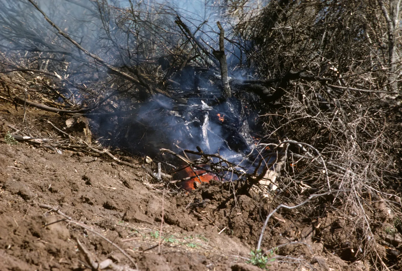 Coyote Fire 1964, fuel break