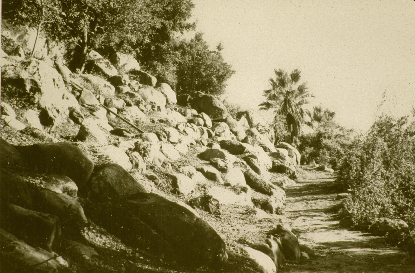 renovated Campbell Trail 1961