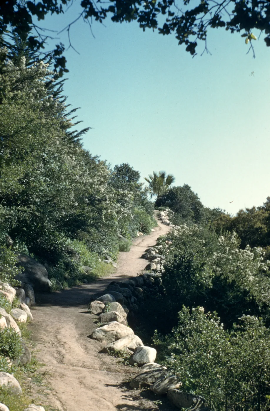 Campbell Trail