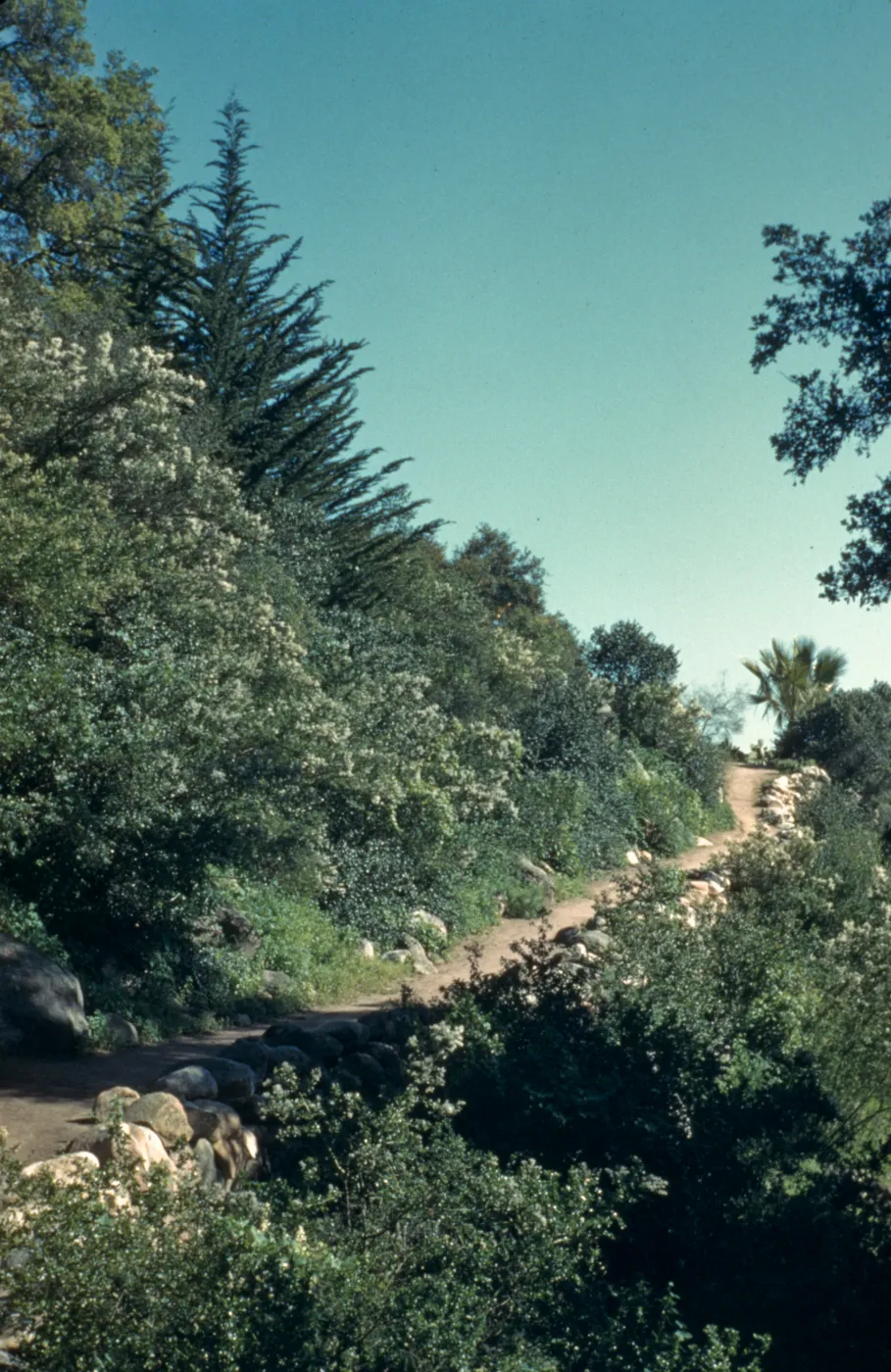 Campbell Trail