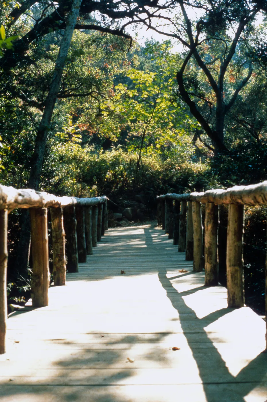 Campbell Bridge