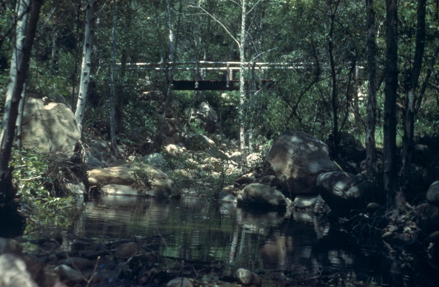 Campbell Bridge over Mission Creek