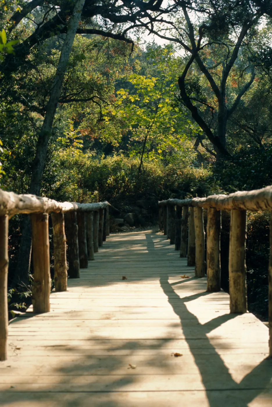 Campbell Bridge