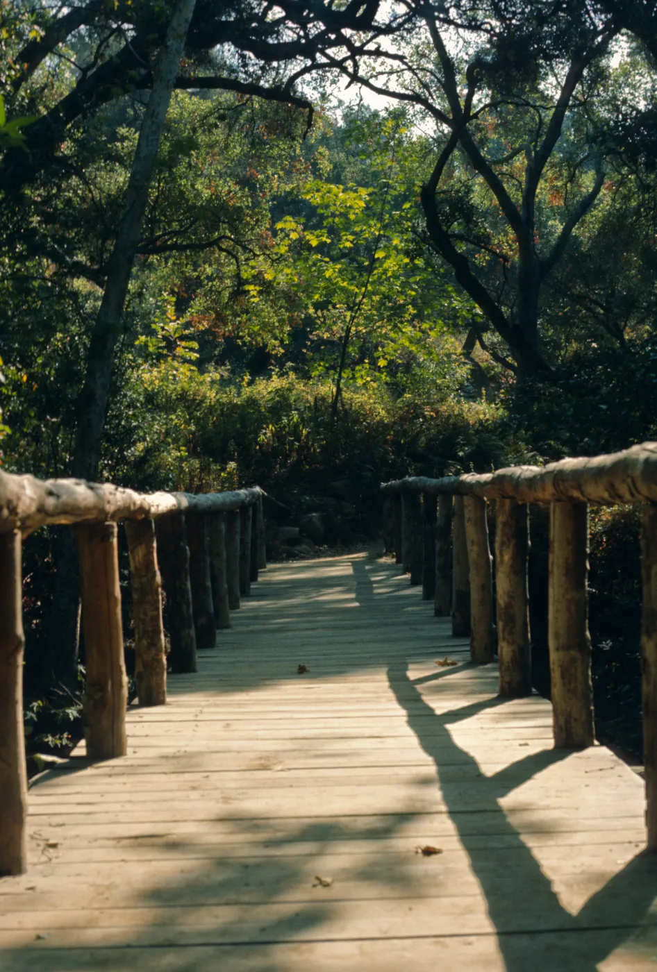 Campbell Bridge