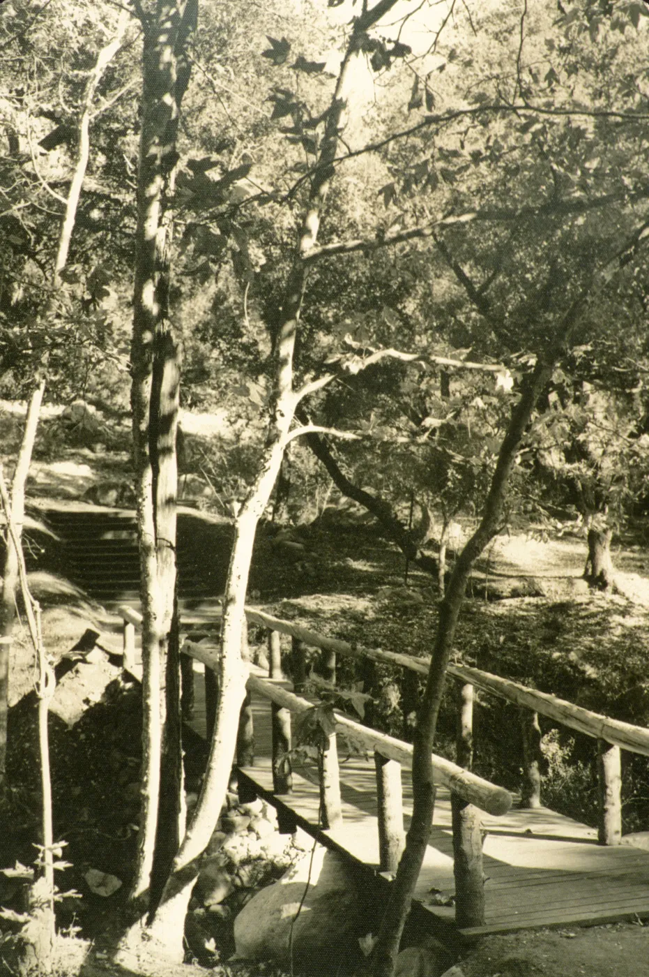 Campbell Bridge 1940's