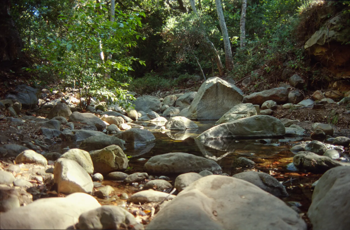 Mission Creek
