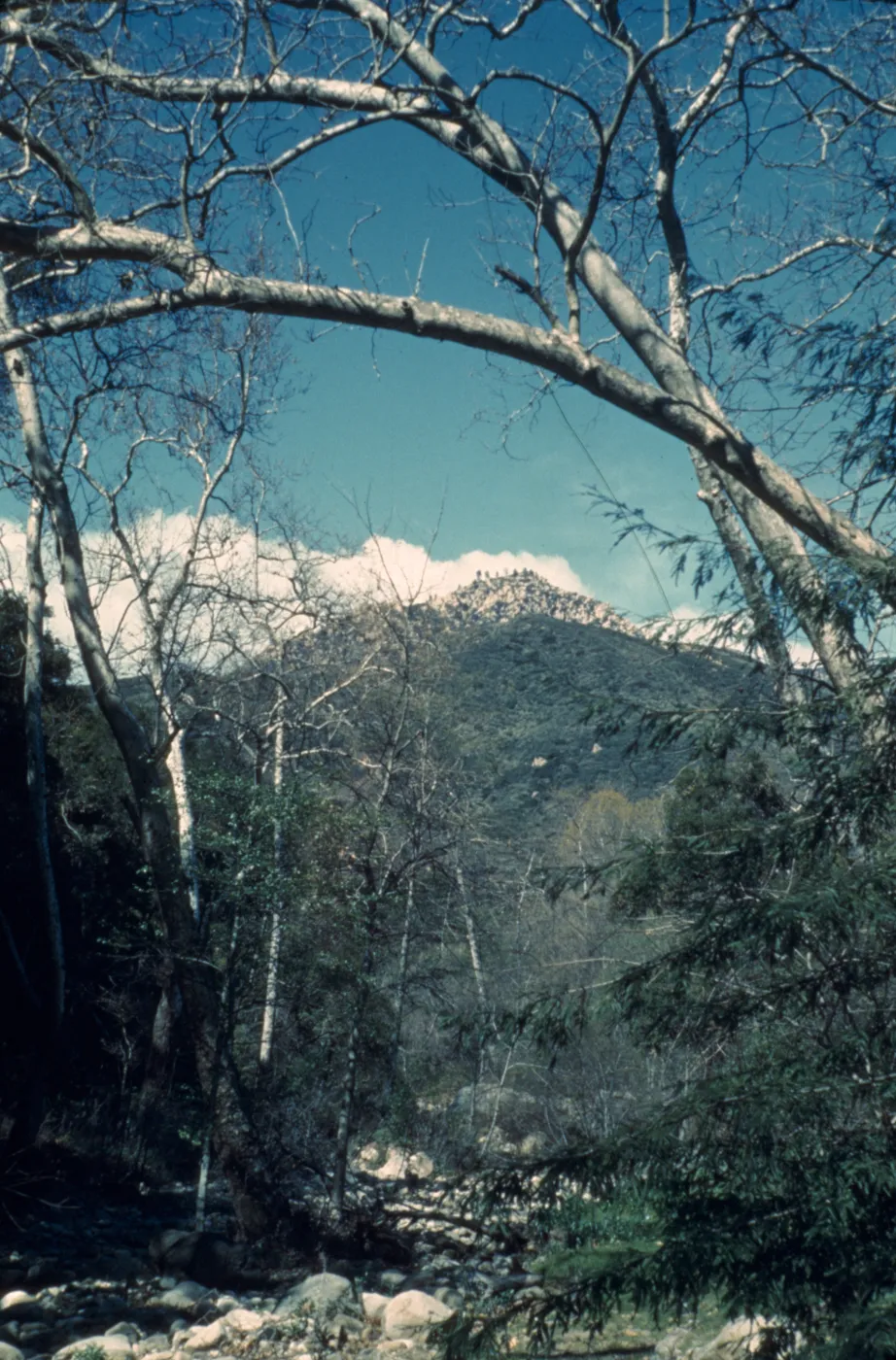 Mission Creek