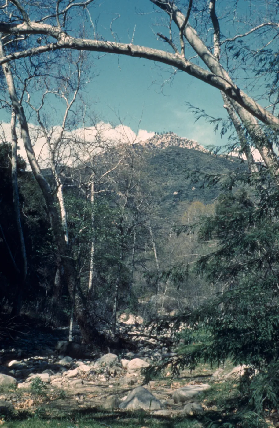 Mission Creek