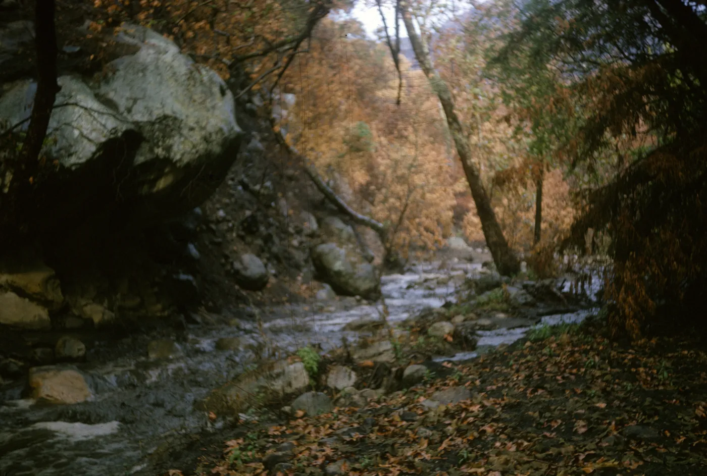 Mission Creek with fall foliage