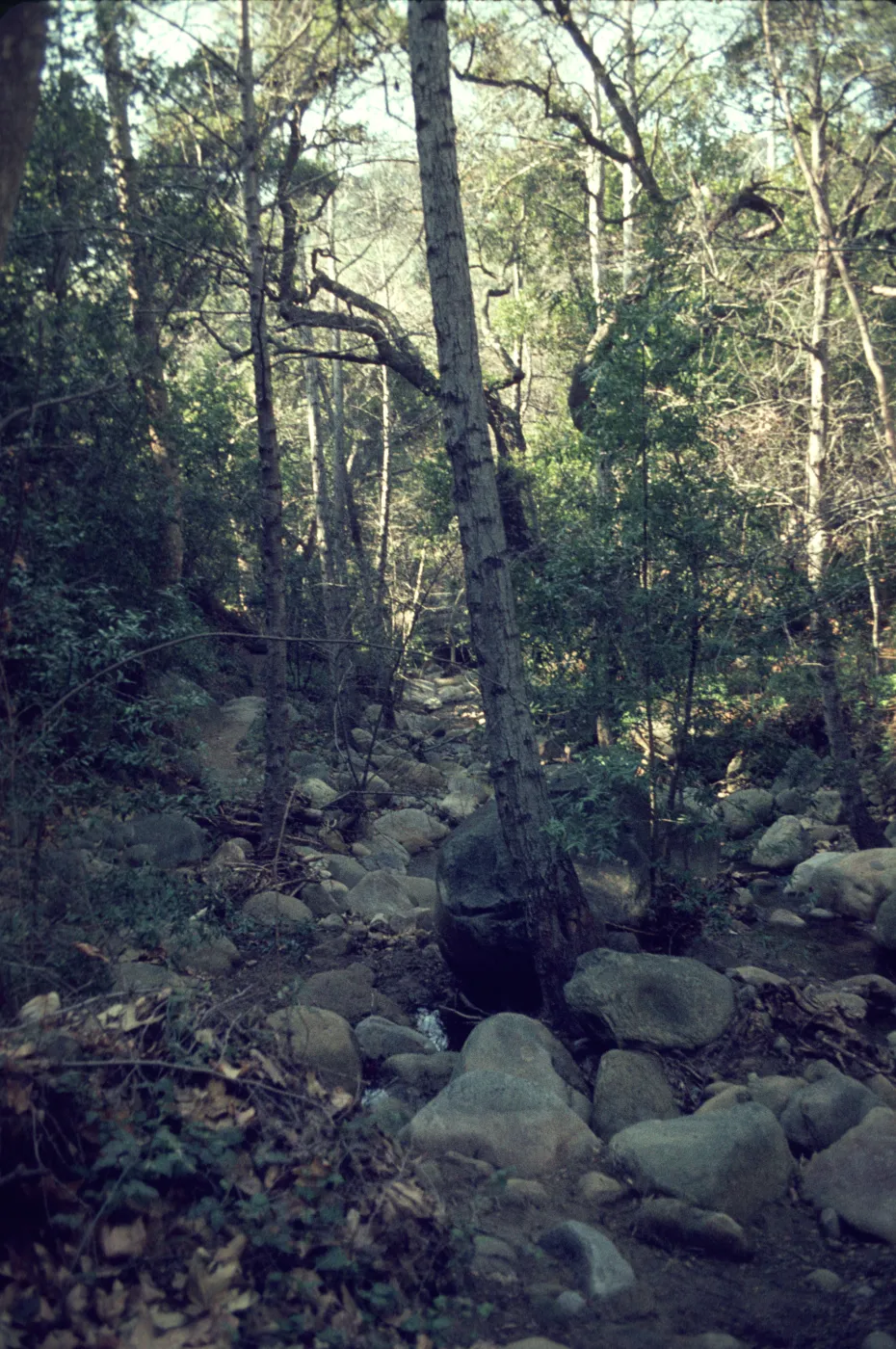 Mission Creek