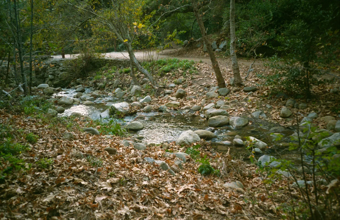 Mission Creek above the Mission Dam, fall leaves
