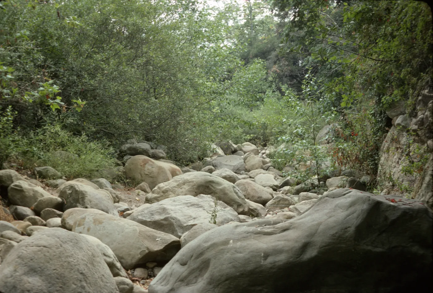 dry creek bed, Mission Creek