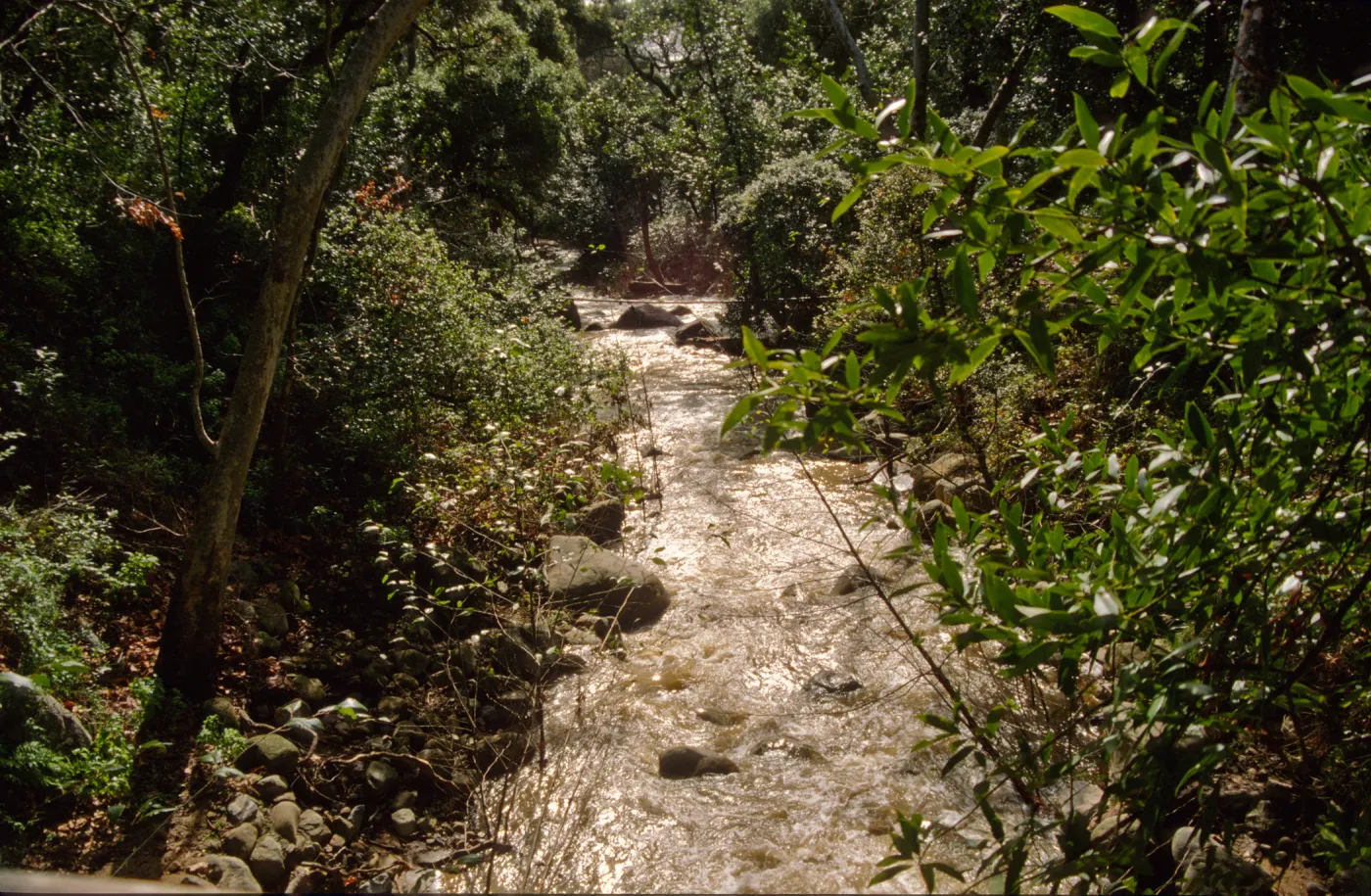 Mission Creek