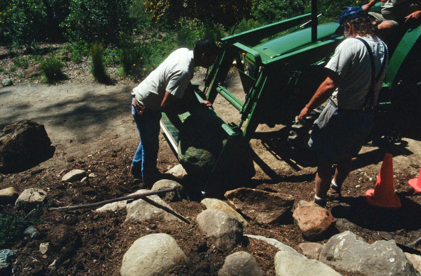 Constructing Dudleya Display