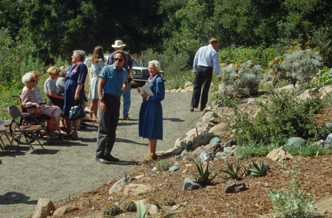 Dudleya Display Dedication