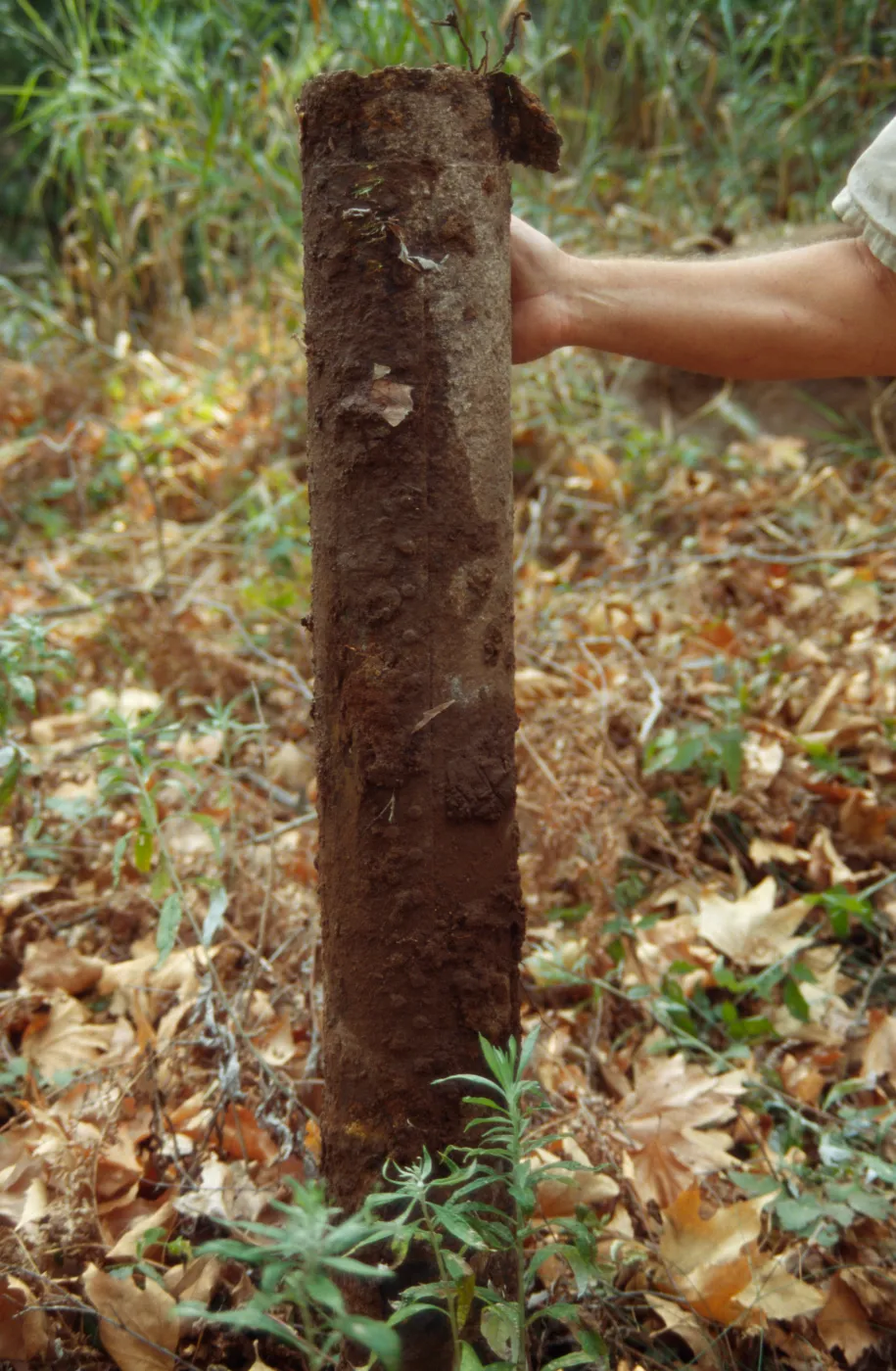 Old Original Irrigation Pipe