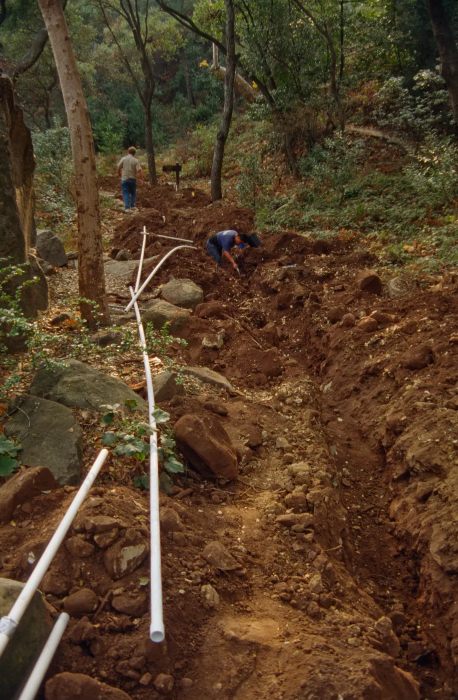 Irrigation Line Installation