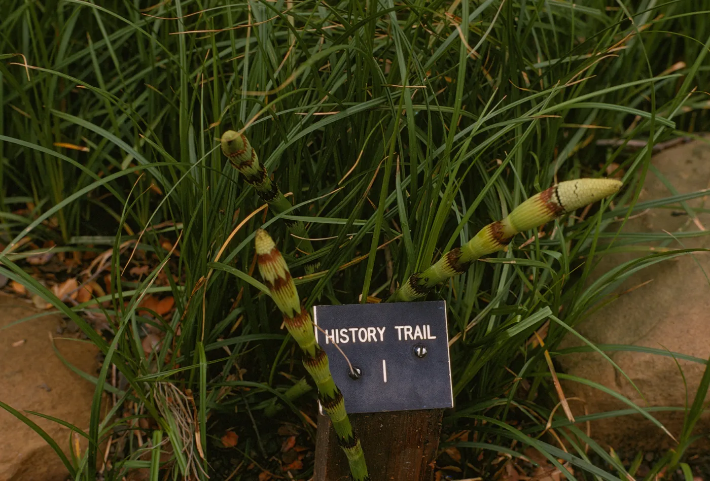 History Trail Marker