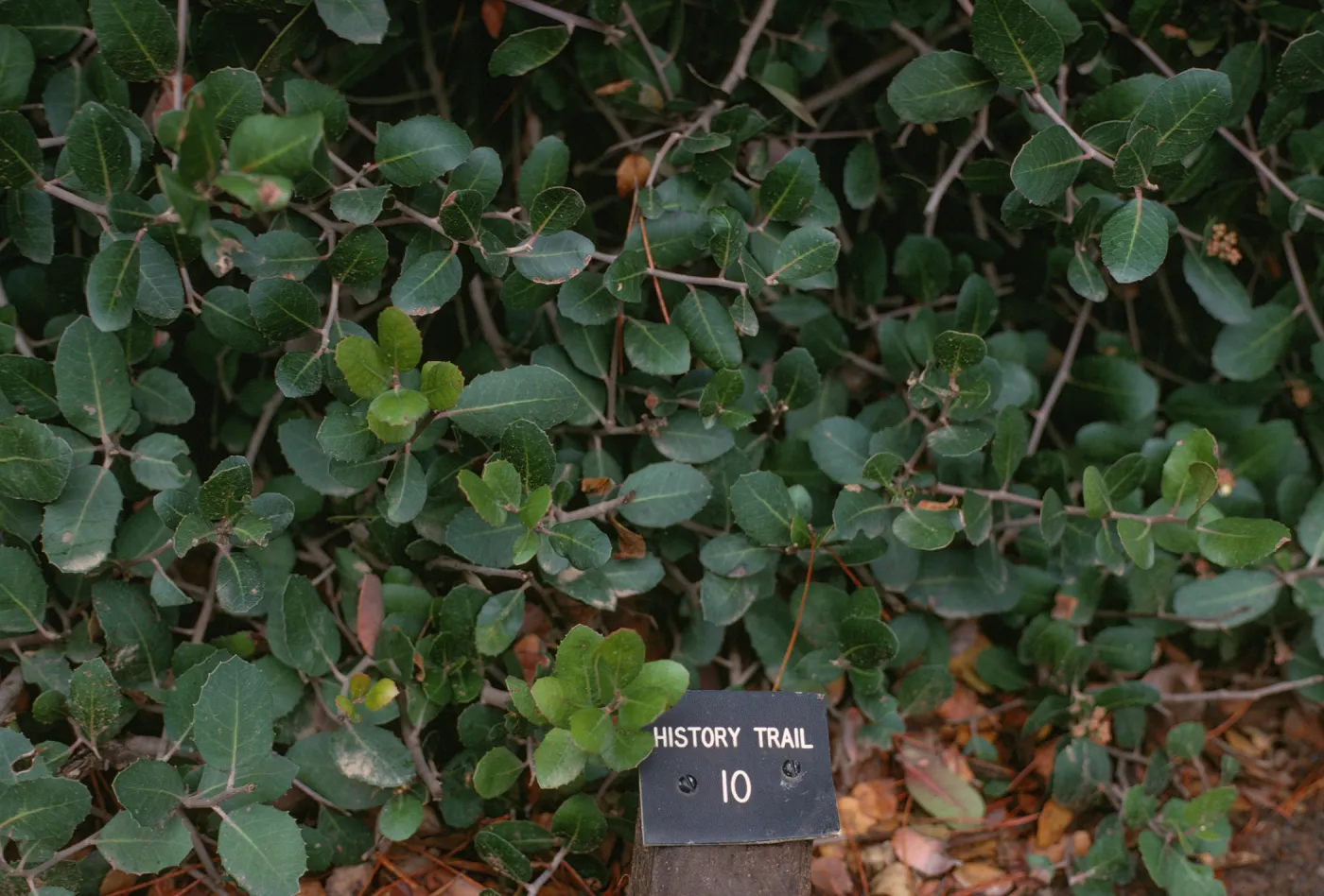 History Trail Marker 