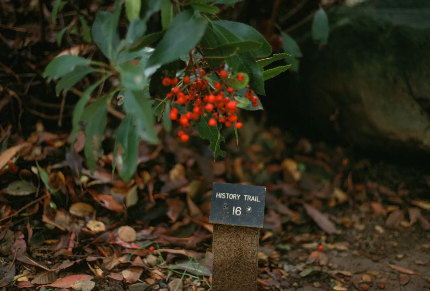 History Trail 16