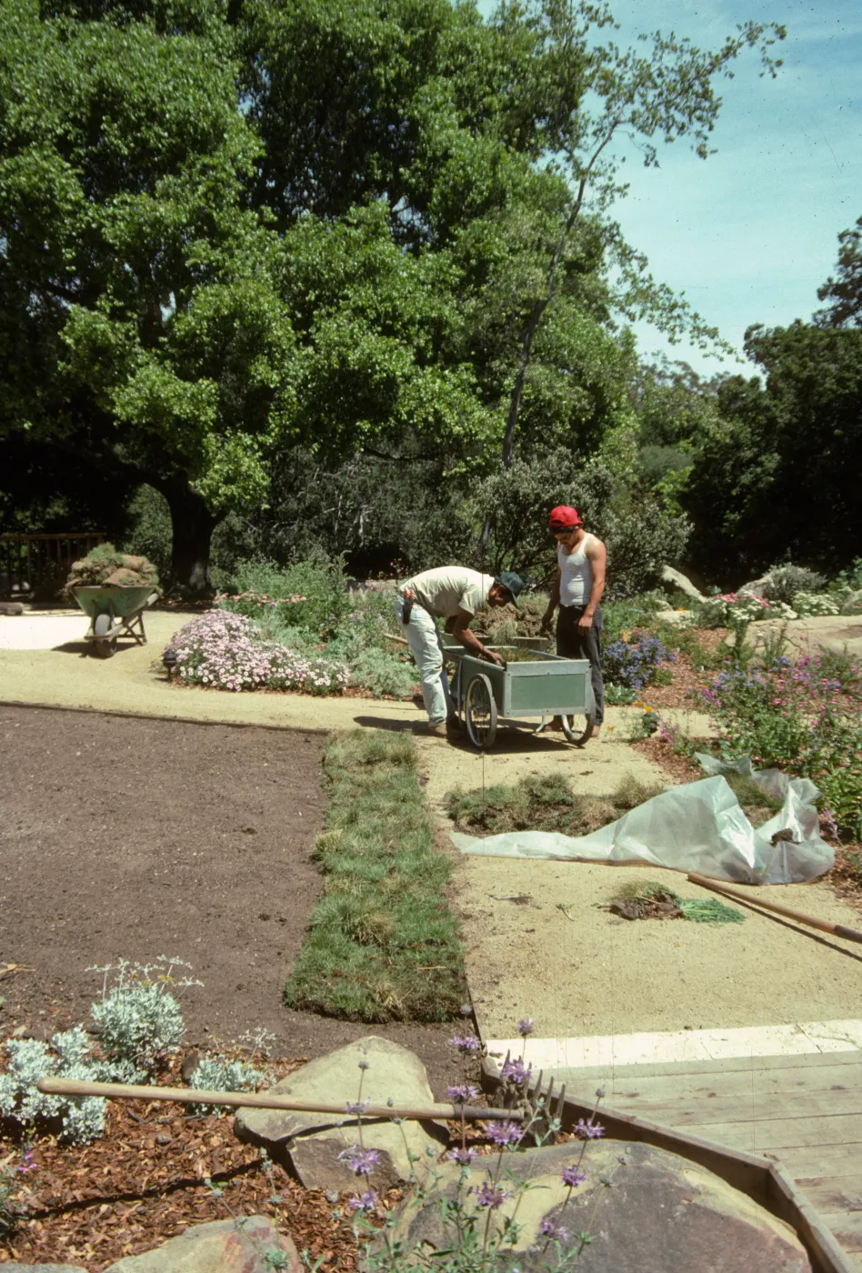 SBBG Home Demonstration Garden construction