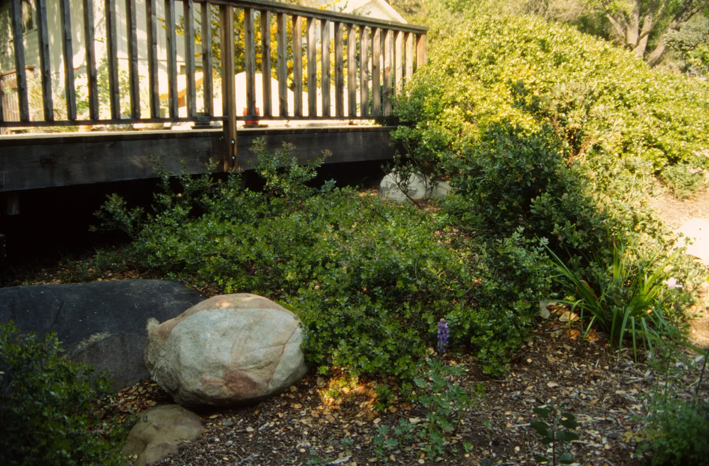 Home Demonstration Garden Construction (Manzanita)