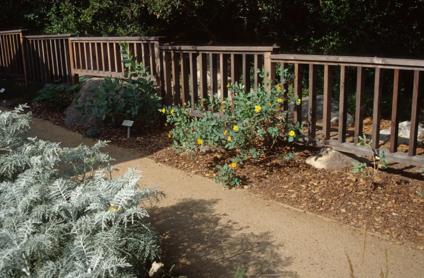 Home Demonstration Garden 