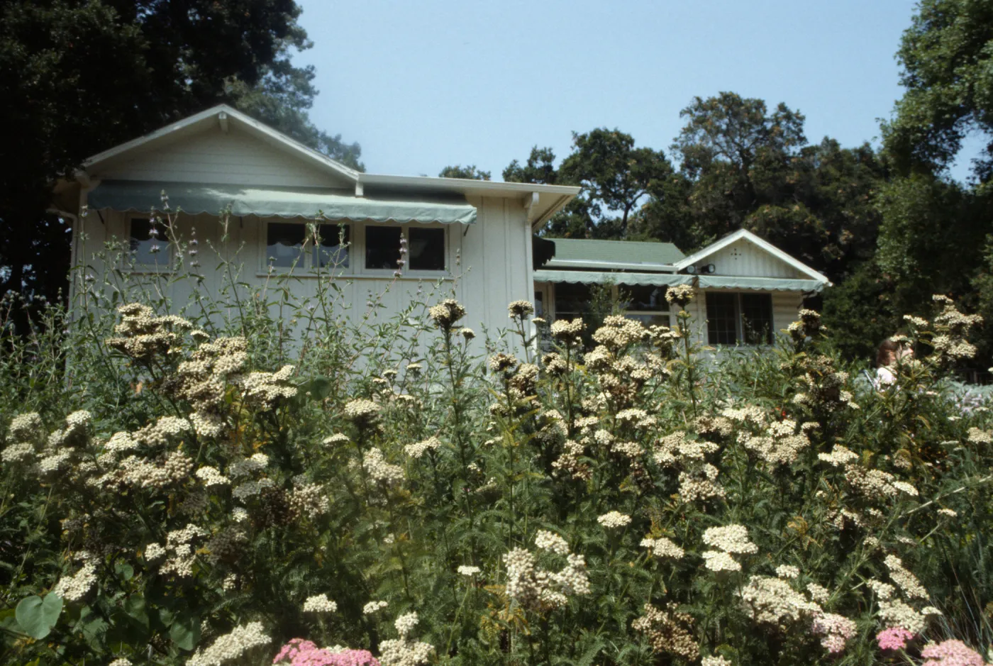Home Demonstration Garden 