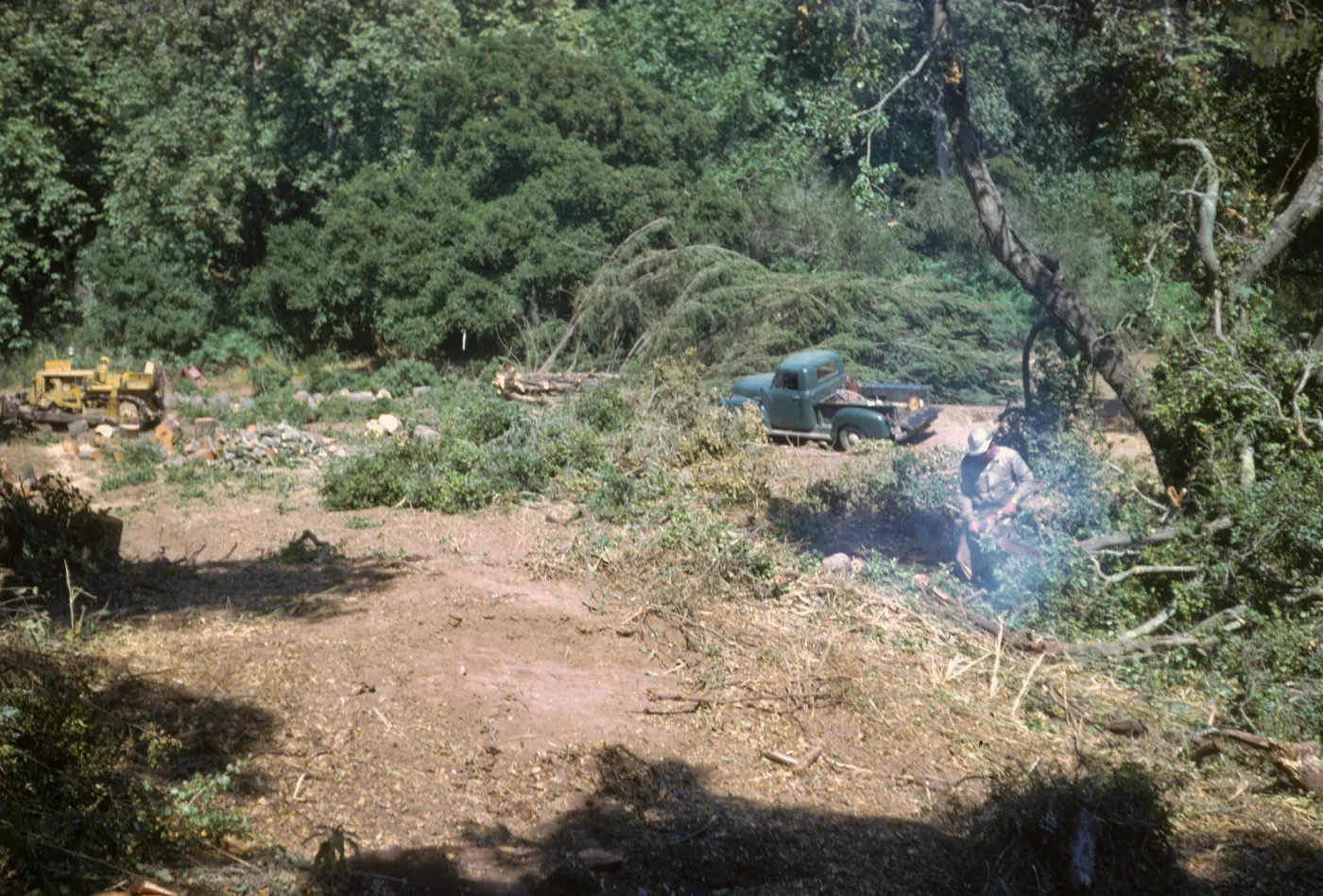Clearing the new Island Section