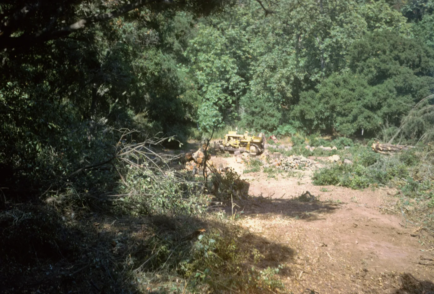 clearing the new Island Section