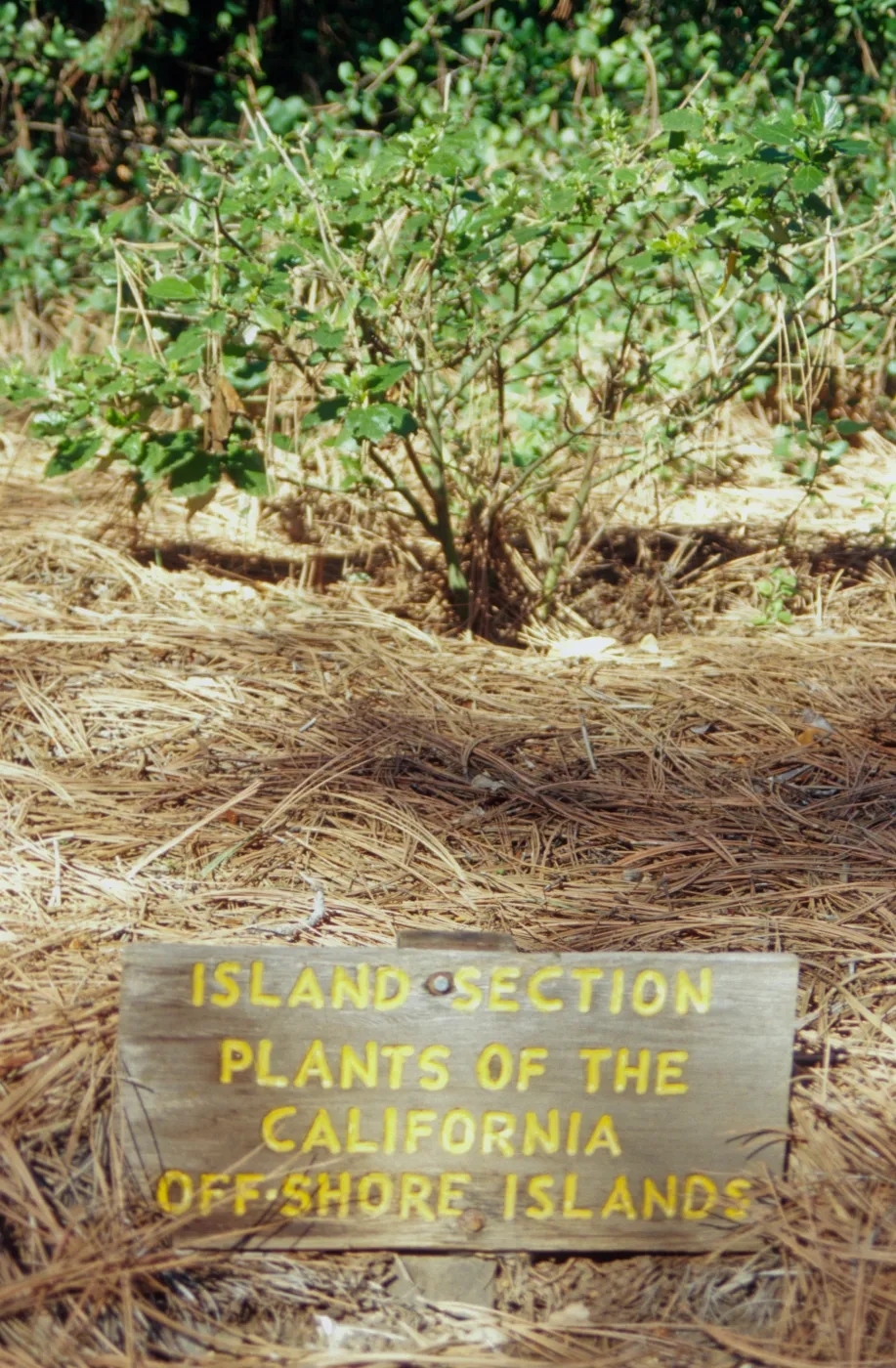Signage for Island Section