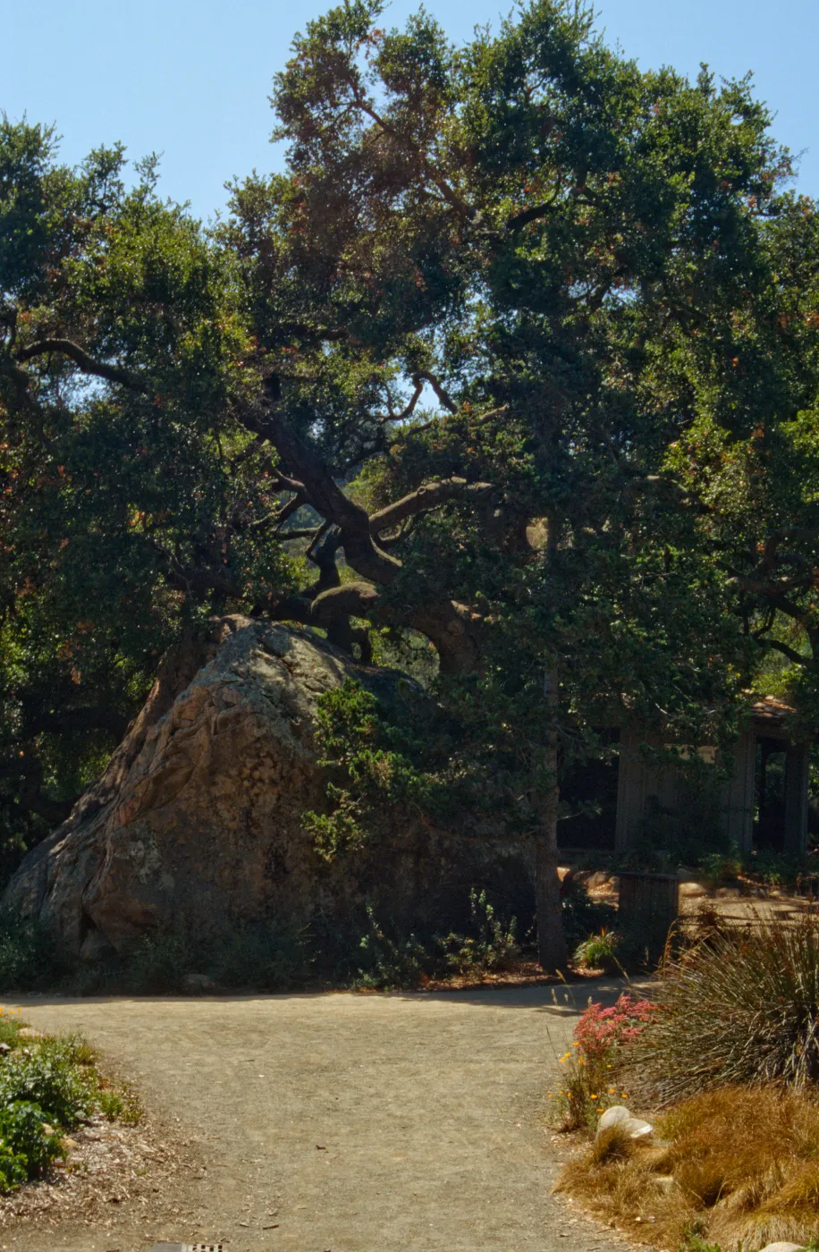 Blaksley Boulder