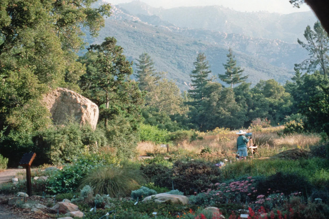 Meadow, with artist painting