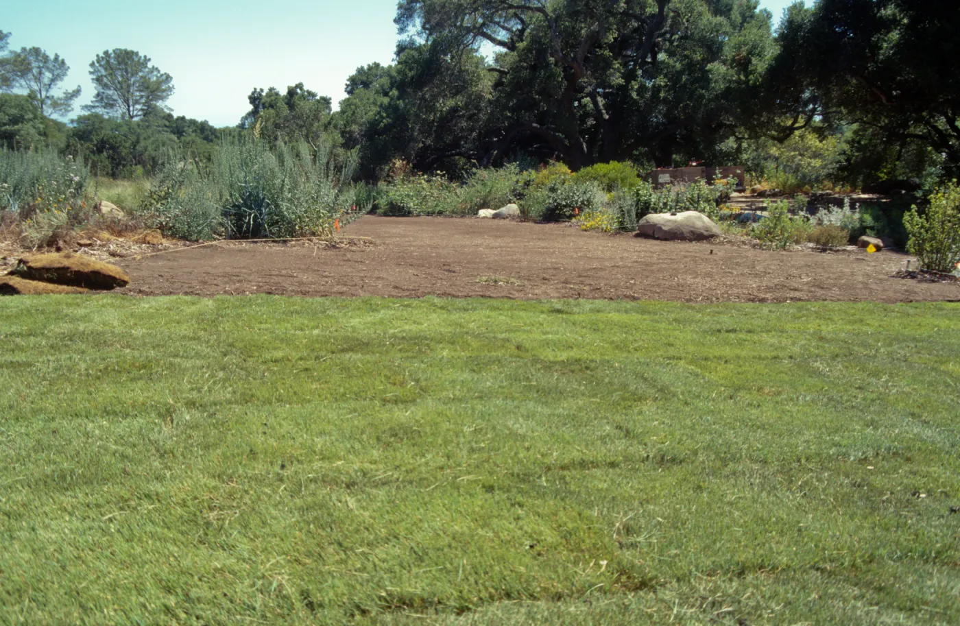 Lawn installation
