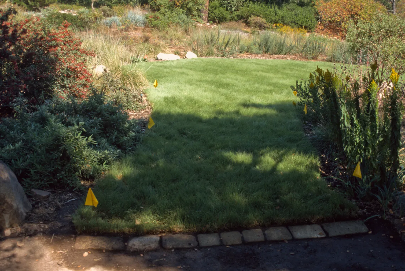 Lawn, upper entrance at western edge of Meadow