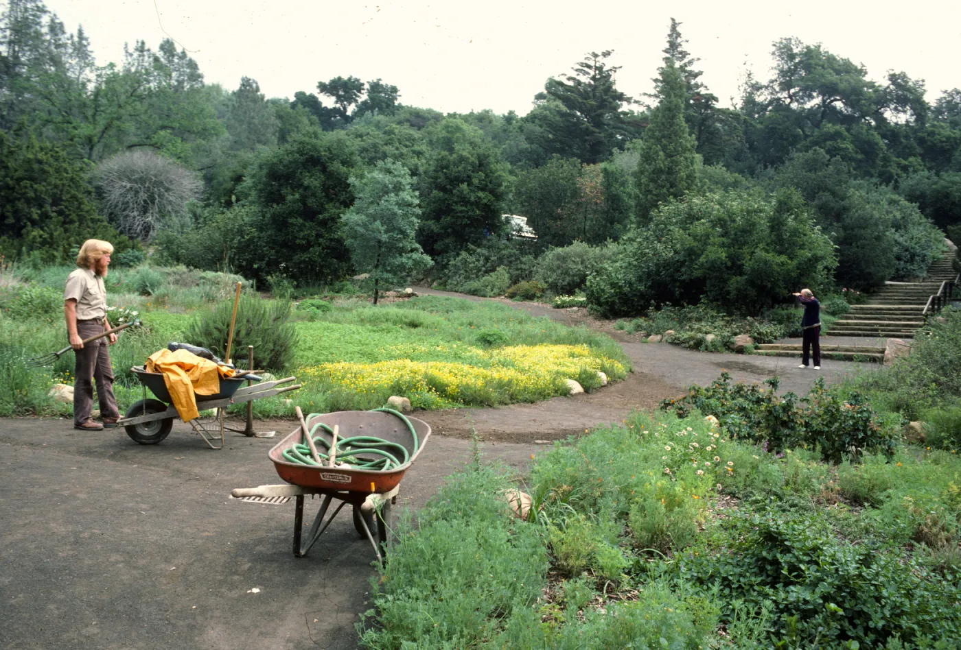 gardener in the Meadow