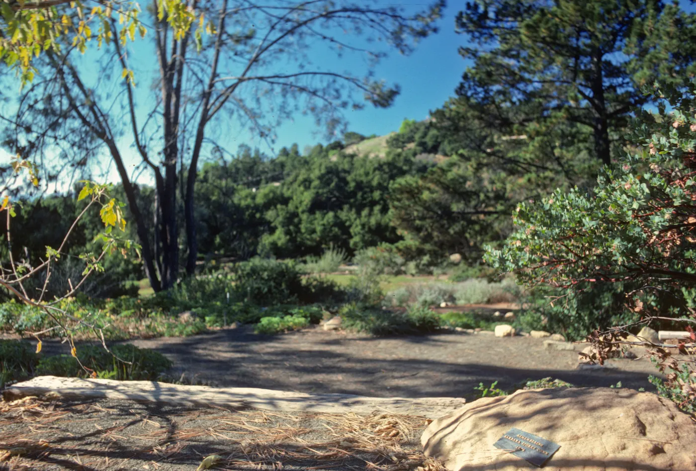 Conn Garden, Meadow View