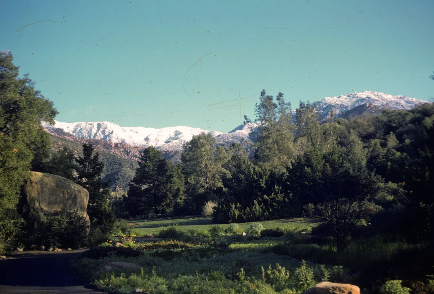 snow on the Santa Ynez Mountains, above the Meadow