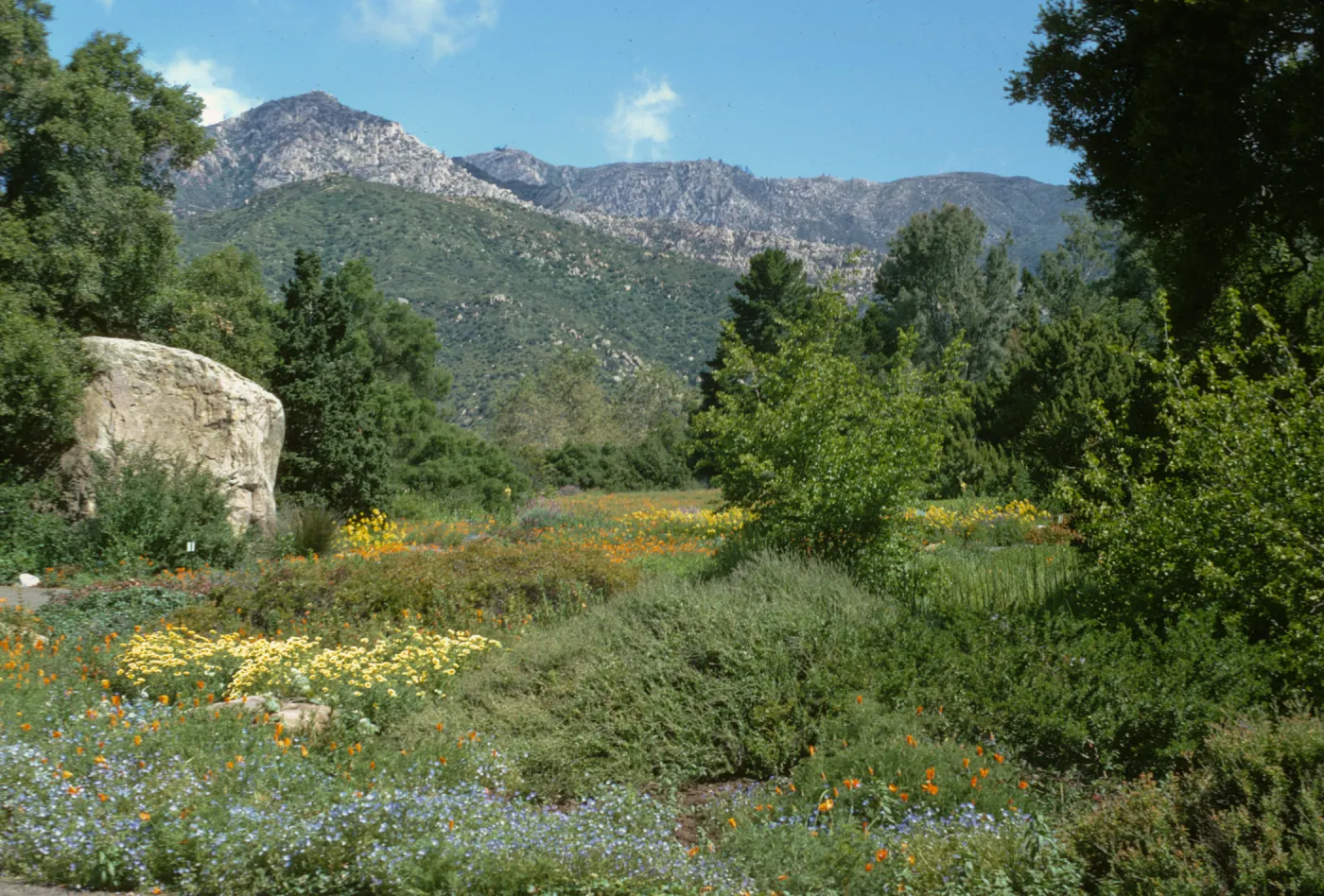 SBBG Meadow with view to the mountains