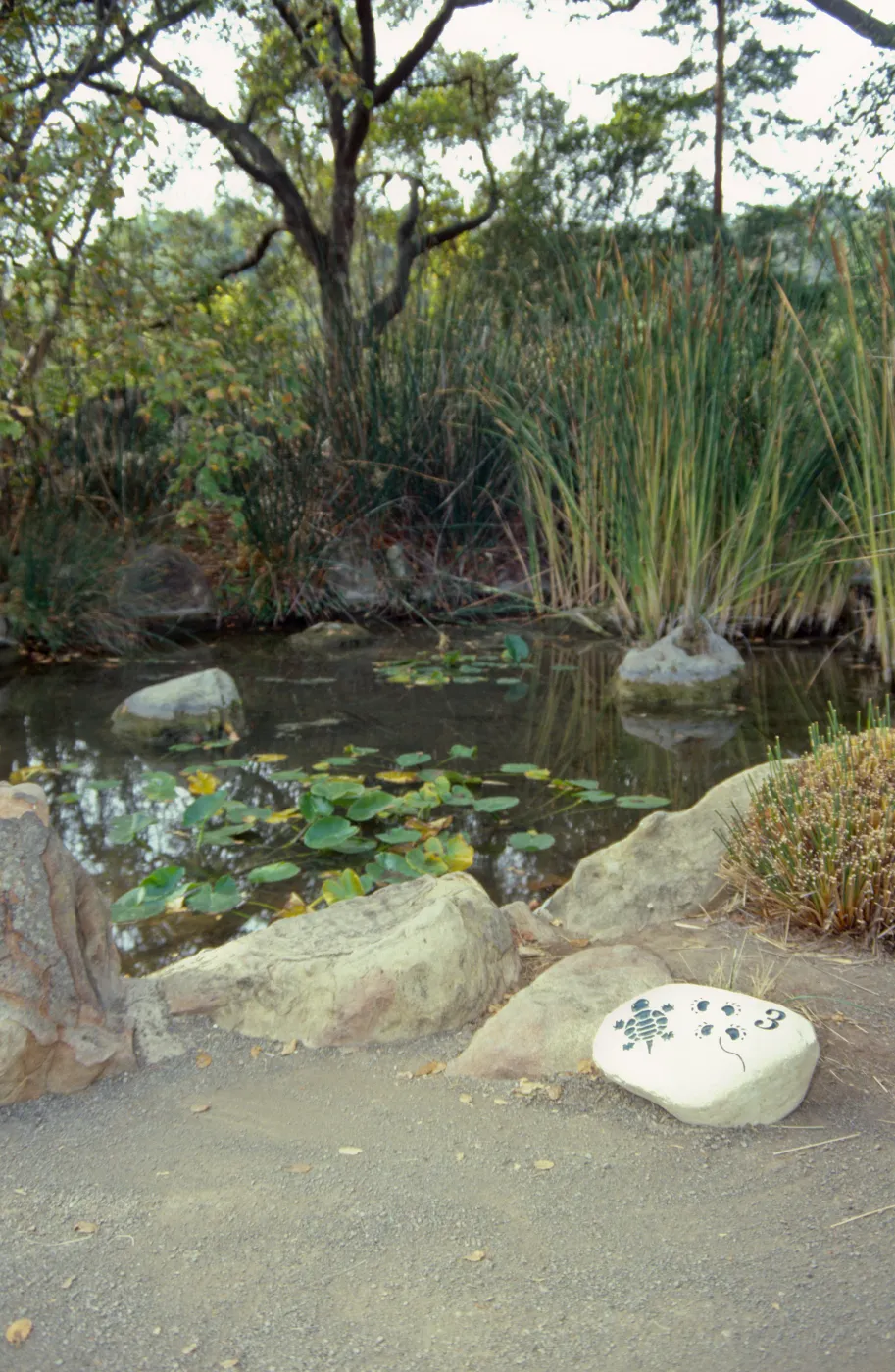 SBBG Pond with 'Nature Loves A Detective' signage