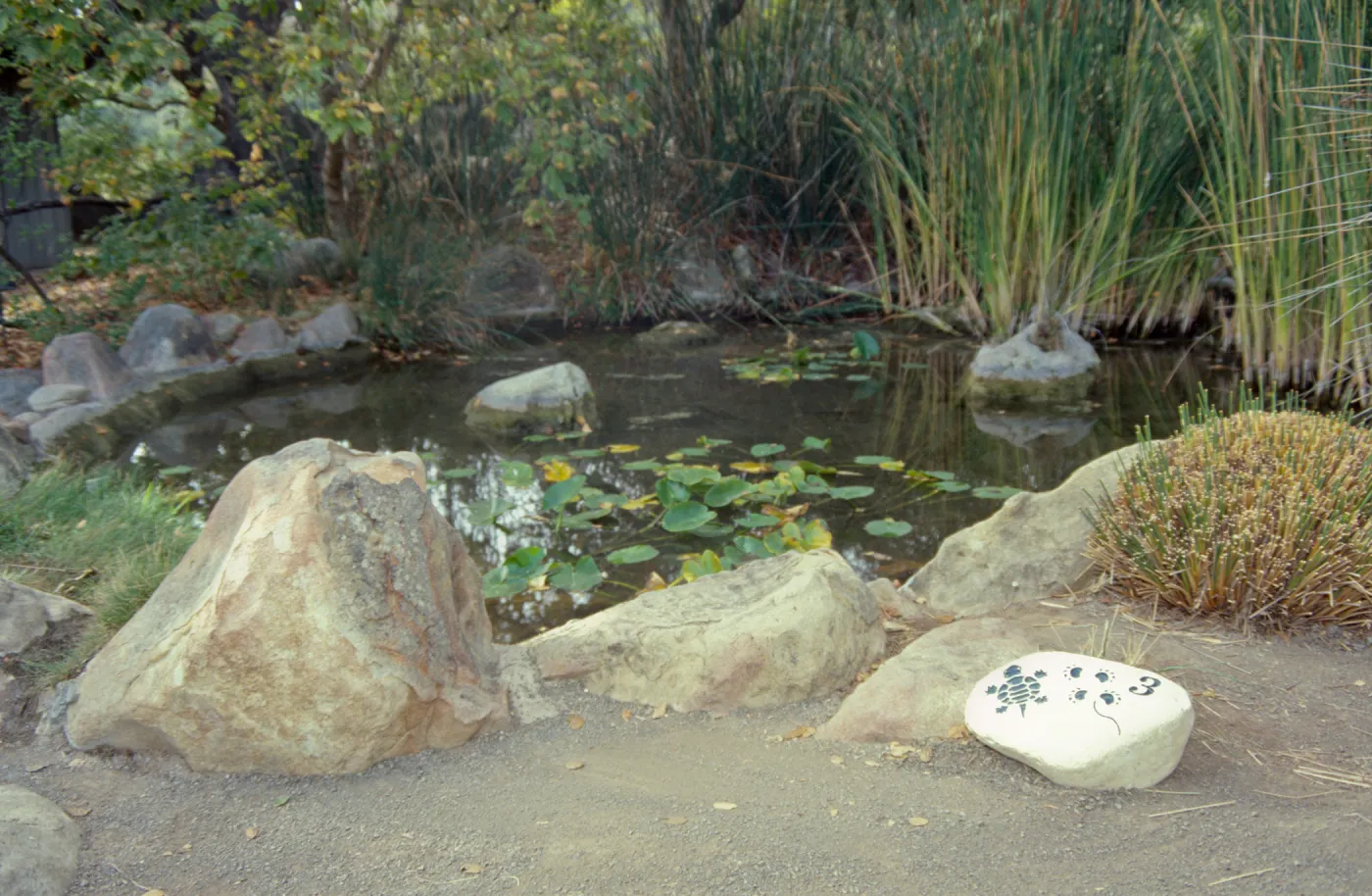 SBBG Pond with 'Nature Loves A Detective' signage