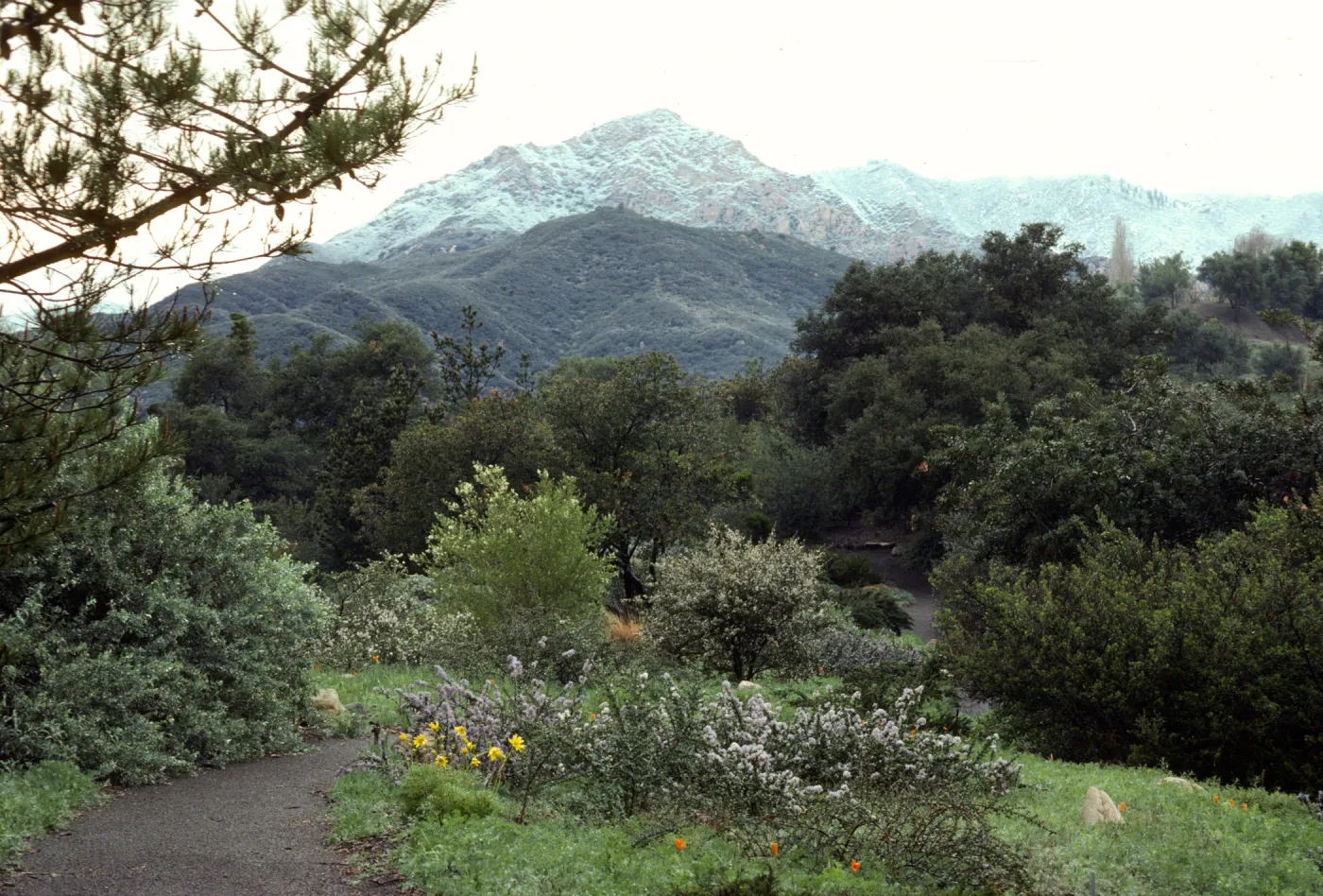 Snow on the Mountains from Porter Trail