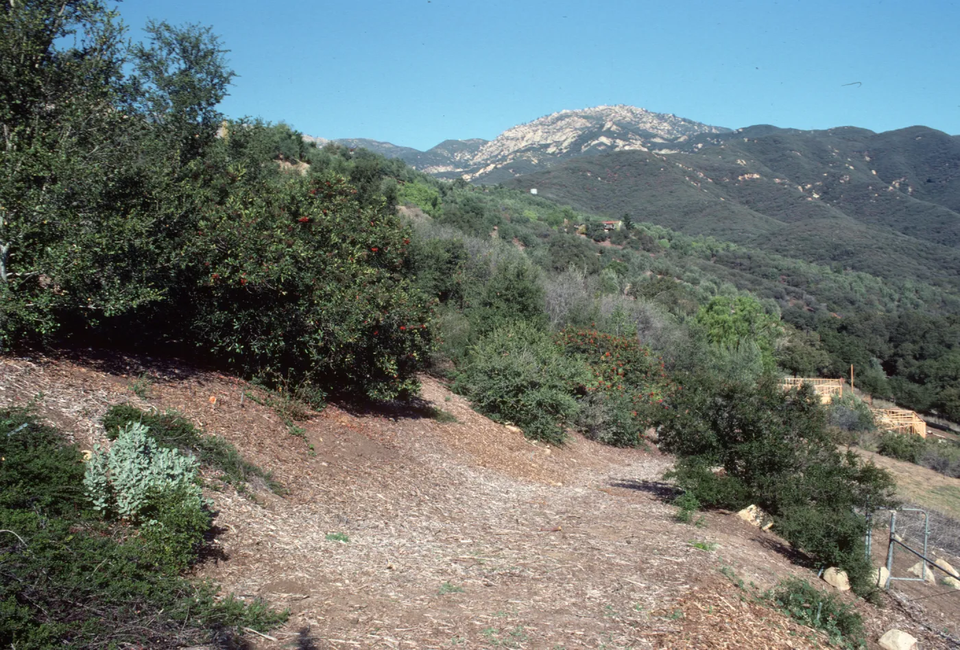 Porter Trail Looking Toward the Mountains