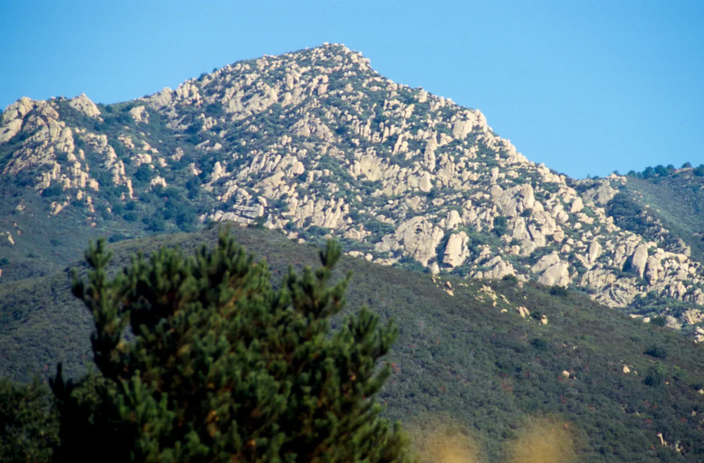 Santa Ynez Mountains from the Porter Trail